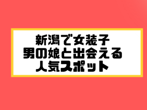 新潟 女装子 男の娘 ニューハーフ 出会いスポット 