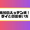 高知　ハッテン場　ゲイ　出会い