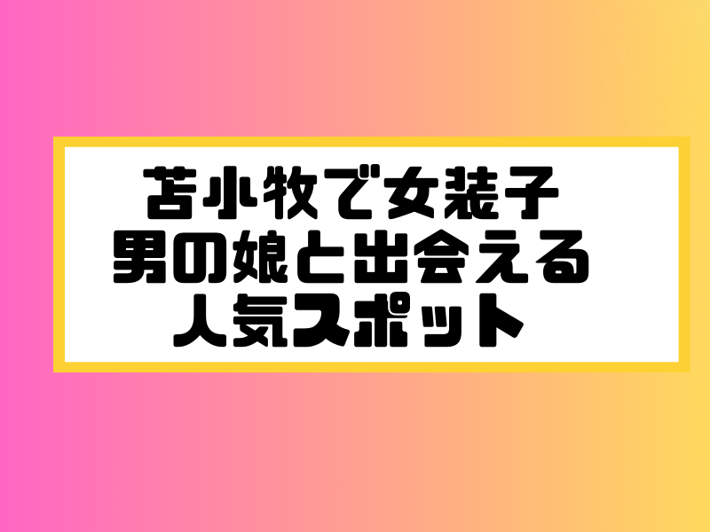 苫小牧 女装子 男の娘 ニューハーフ 出会いスポット