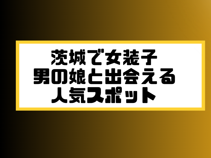 茨城 女装子 男の娘 ニューハーフ 出会いスポット